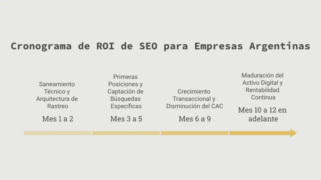 Infografía oficial sobre tiempos de resultado y retorno de inversión SEO para empresas en Argentina